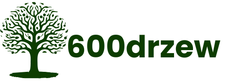 600drzew